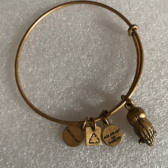 Alex and Ani Expandable Wire Bracelet - Picture 6 of 7